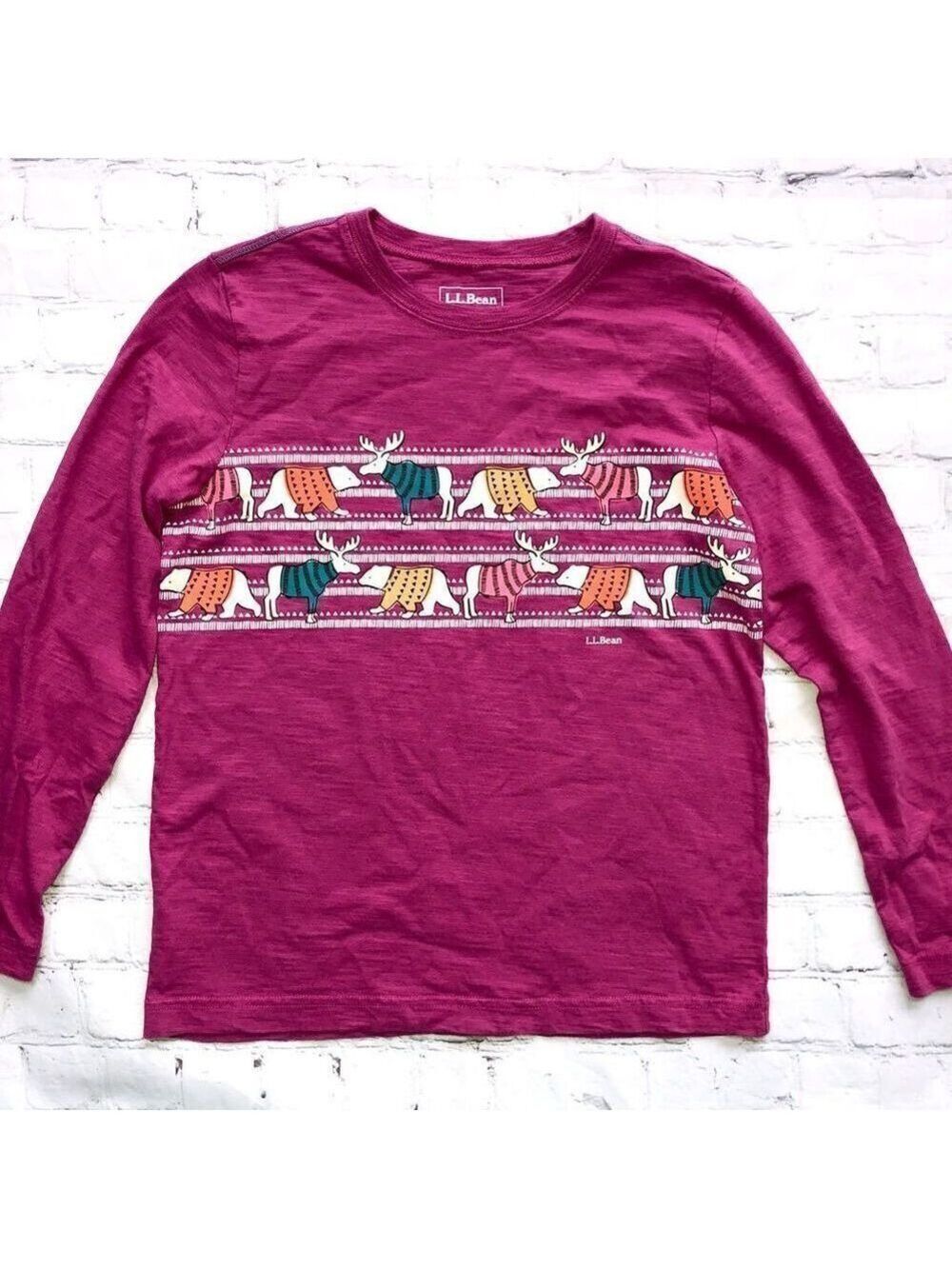𝅺NWOT Kids Med (10/12) LL Bean LS Graphic Shirt